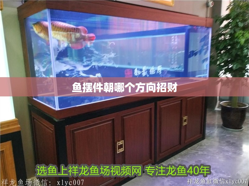 魚擺件朝哪個方向招財