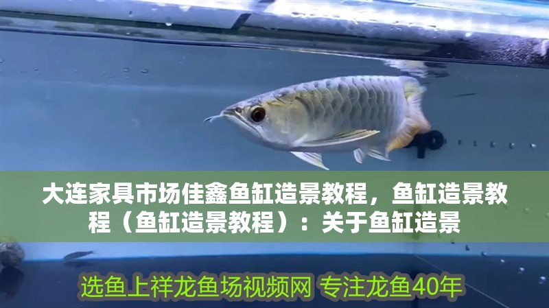 大連家具市場佳鑫魚缸造景教程，魚缸造景教程（魚缸造景教程）：關于魚缸造景