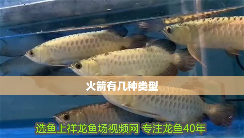 火箭有幾種類型