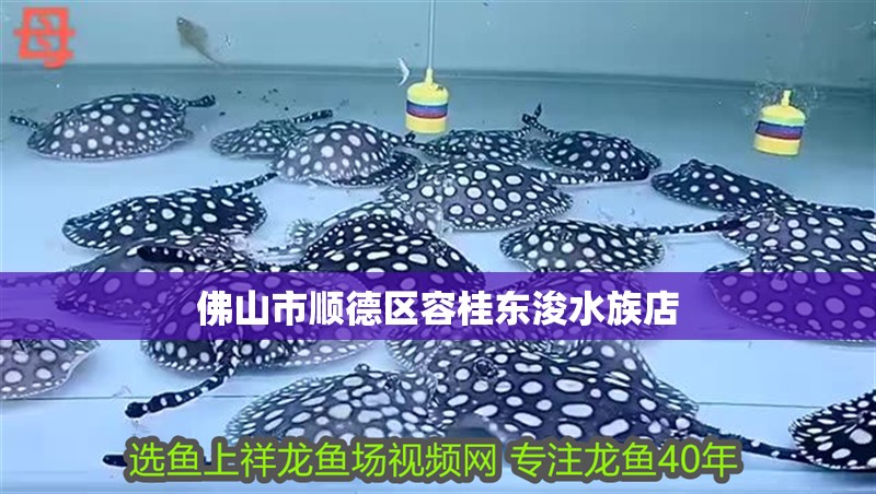 <strong><mark>佛山</mark></strong>市順德區容桂東浚水族店