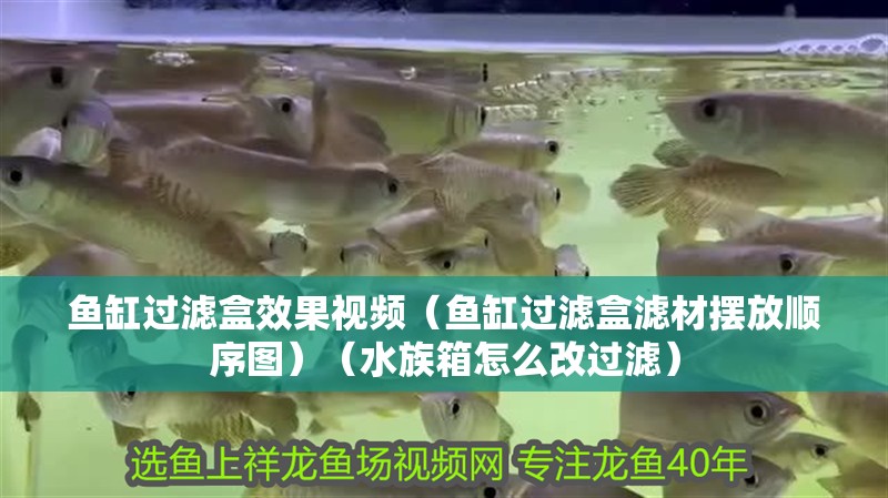 魚缸過濾盒效果視頻（魚缸過濾盒濾材擺放順序圖）（水族箱怎么改過濾） 魚缸過濾盒效果視頻（魚缸過濾盒濾材擺放順序圖）（水族箱怎么改過濾） 魚缸百科