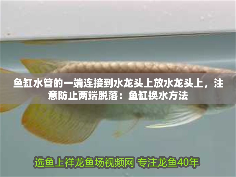 魚缸水管的一端連接到水龍頭上放水龍頭上，注意防止兩端脫落：魚缸換水方法