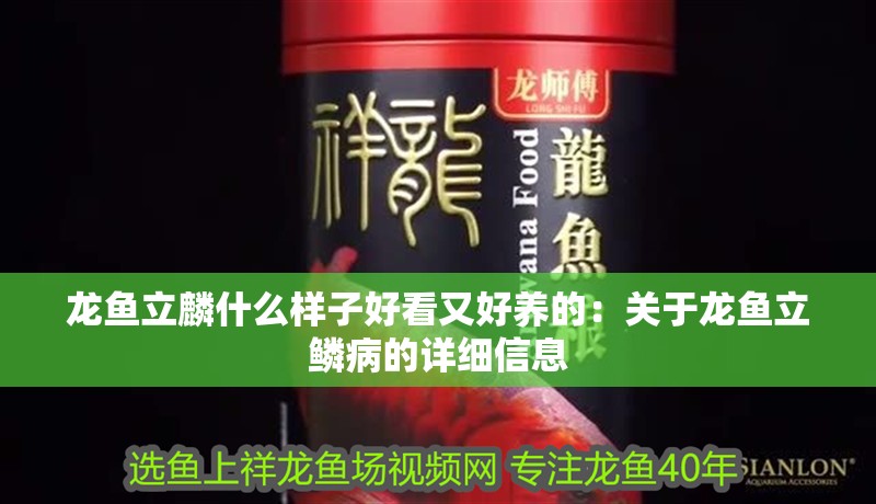 龍魚立麟什么樣子好看又好養(yǎng)的：關(guān)于龍魚立鱗病的詳細(xì)信息