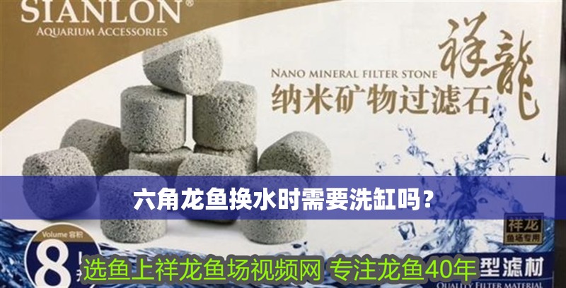 六角龍魚換水時需要洗缸嗎？