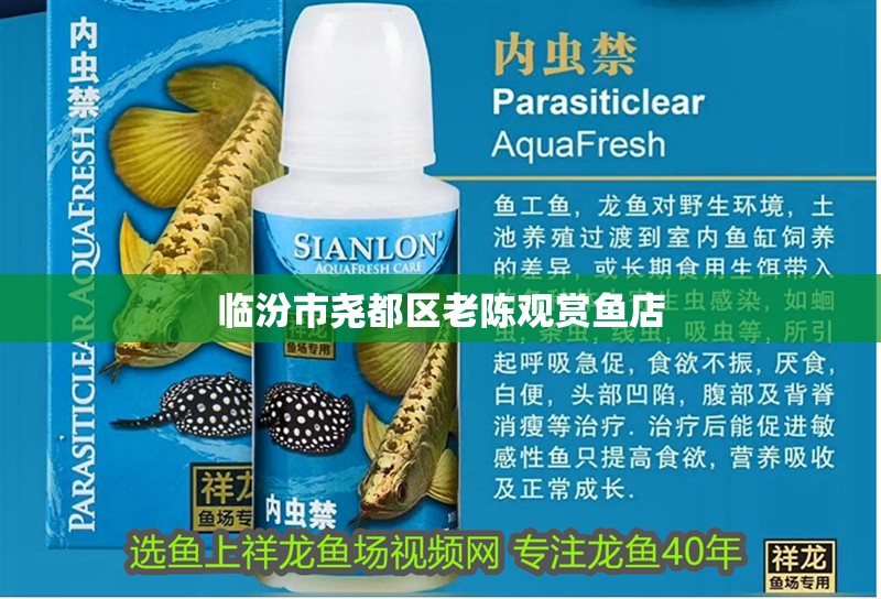 臨汾市堯都區(qū)老陳觀賞魚店