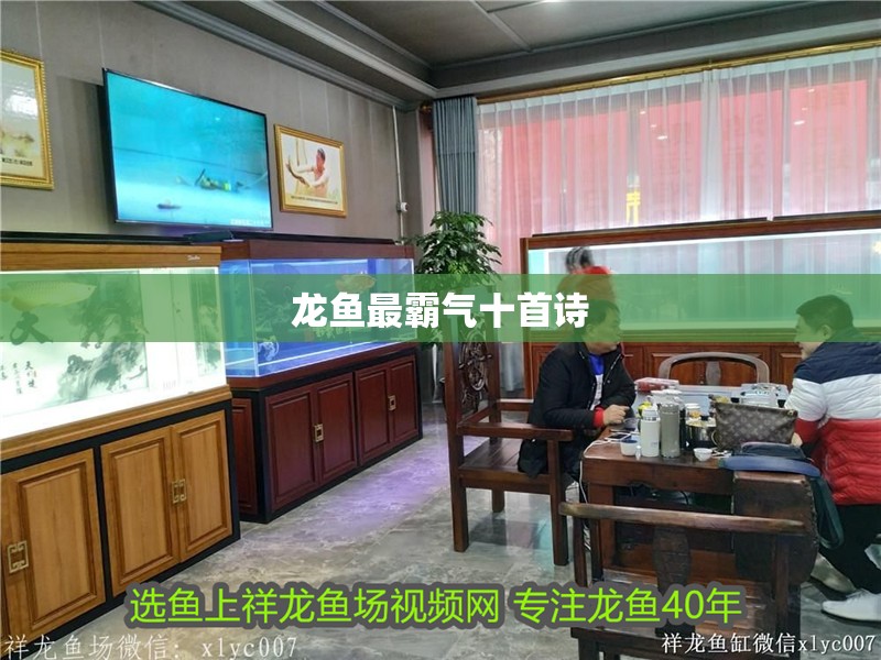 龍魚最霸氣十首詩