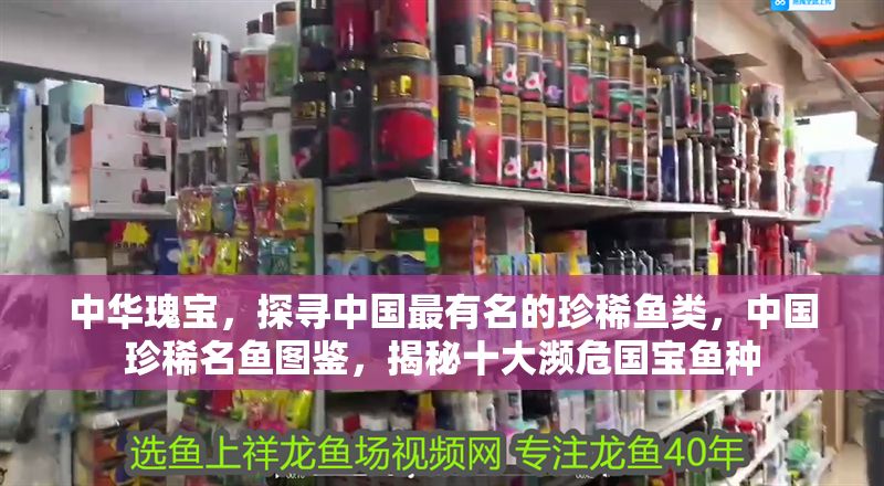 中華瑰寶，探尋中國最有名的珍稀魚類，中國珍稀名魚圖鑒，揭秘十大瀕危國寶魚種
