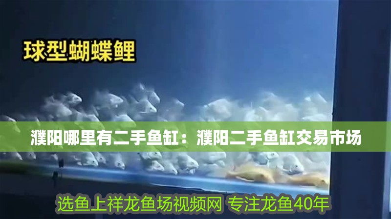 濮陽哪里有二手魚缸：濮陽二手魚缸交易市場 濮陽哪里有二手魚缸：濮陽二手魚缸交易市場 魚缸百科