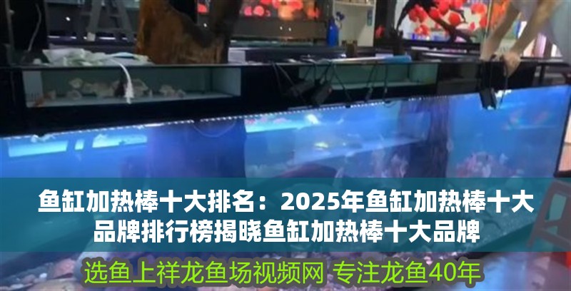 魚缸加熱棒十大排名：2025年魚缸加熱棒十大品牌排行榜揭曉魚缸加熱棒十大品牌 魚缸加熱棒十大排名：2025年魚缸加熱棒十大品牌排行榜揭曉魚缸加熱棒十大品牌 魚缸百科