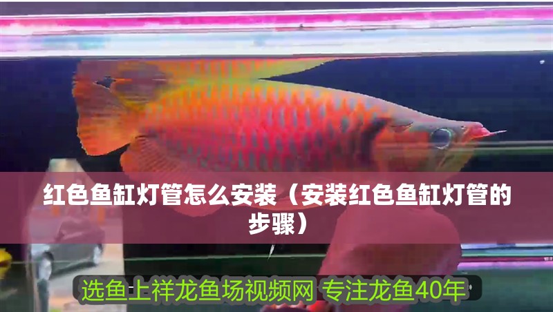 紅色魚缸燈管怎么安裝（安裝紅色魚缸燈管的步驟）