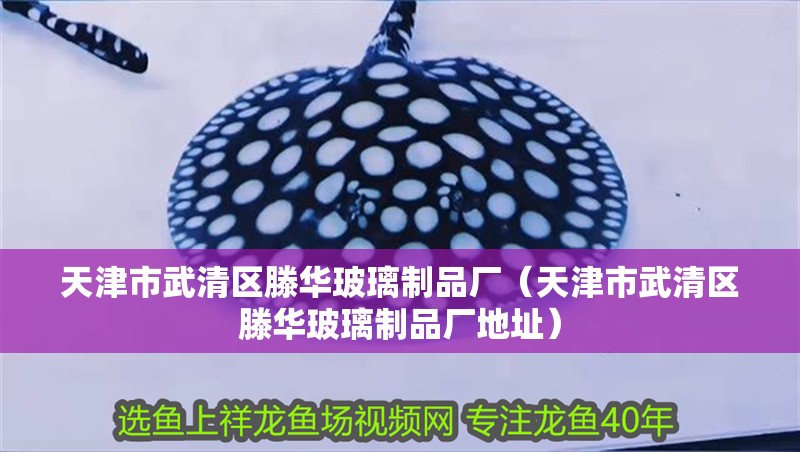天津市武清區滕華玻璃制品廠（天津市武清區滕華玻璃制品廠地址）