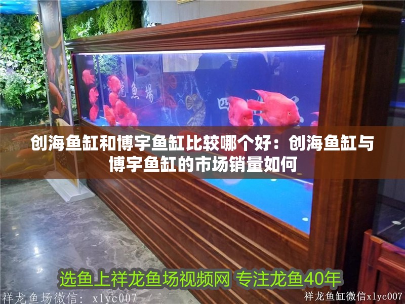 創海魚缸和博宇魚缸比較哪個好：創海魚缸與博宇魚缸的市場銷量如何