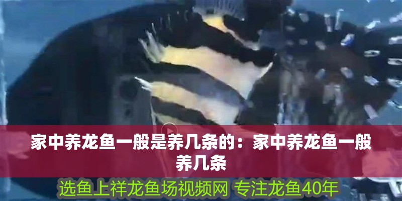 鸚鵡魚和銀龍魚混養怎樣喂食 家中養龍魚一般是養幾條的:家中養龍魚一般養幾條 龍魚百科 家中養龍魚一般是養幾條的:家中養龍魚一般養幾條 家中養龍魚一般是養幾條的:家中養龍魚一般養幾條 龍魚百科