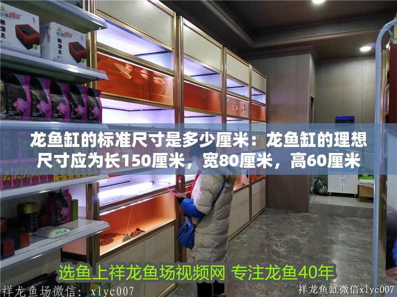 龍魚缸的標準尺寸是多少厘米：龍魚缸的理想尺寸應為長150厘米，寬80厘米，高60厘米