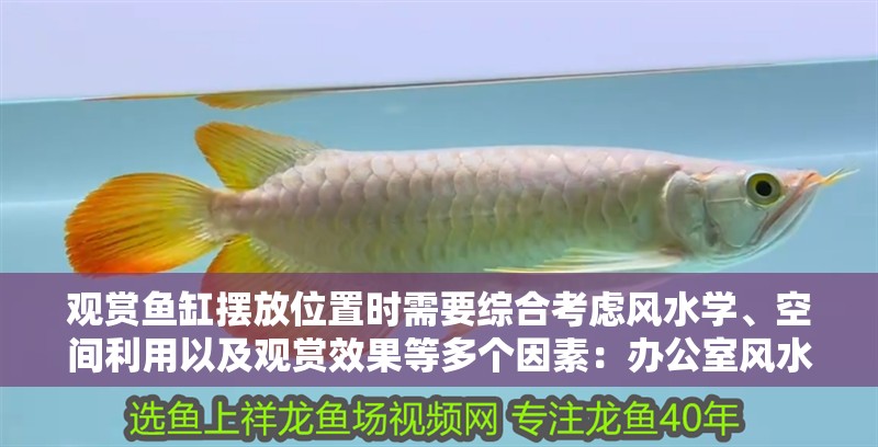 觀賞魚缸擺放位置時需要綜合考慮風水學、空間利用以及觀賞效果等多個因素：辦公室風水布局指南辦公室魚缸擺放風水布局指南 觀賞魚缸擺放位置時需要綜合考慮風水學、空間利用以及觀賞效果等多個因素：辦公室風水布局指南辦公室魚缸擺放風水布局指南 魚缸百科