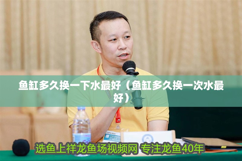 魚缸多久換一下水最好（魚缸多久換一次水最好）