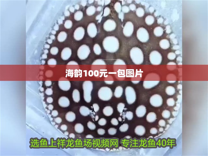 海韻100元一包圖片
