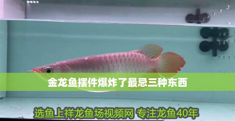 金龍魚擺件爆炸了最忌三種東西