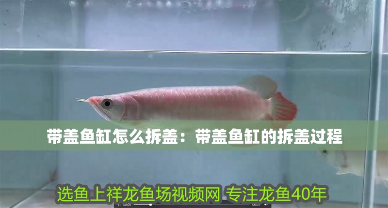 帶蓋魚缸怎么拆蓋：帶蓋魚缸的拆蓋過程