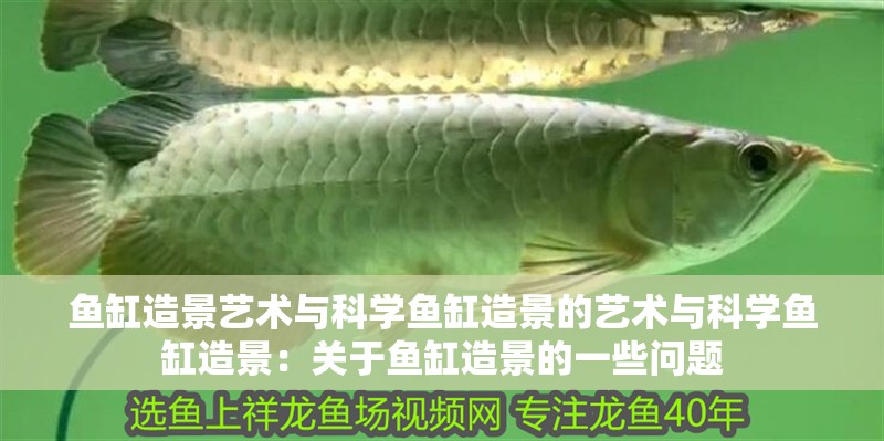 魚缸造景藝術與科學魚缸造景的藝術與科學魚缸造景：關于魚缸造景的一些問題