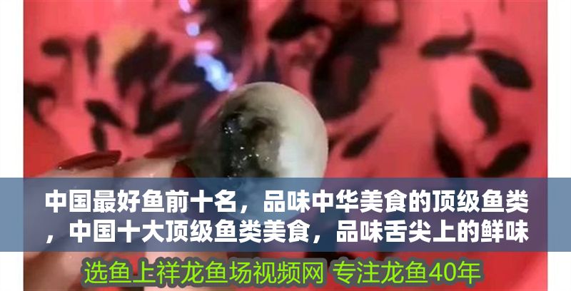 中國最好魚前十名，品味中華美食的頂級魚類，中國十大頂級魚類美食，品味舌尖上的鮮味盛宴 中國最好魚前十名，品味中華美食的頂級魚類，中國十大頂級魚類美食，品味舌尖上的鮮味盛宴 龍魚百科 第1張
