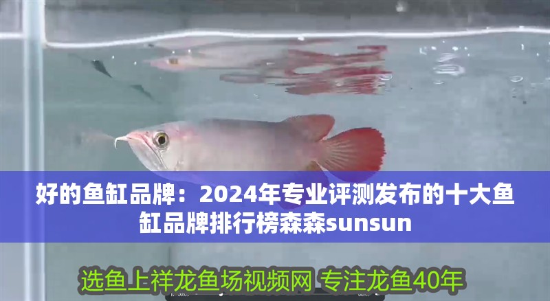 好的魚缸品牌：2024年專業(yè)評測發(fā)布的十大魚缸品牌排行榜森森sunsun 好的魚缸品牌：2024年專業(yè)評測發(fā)布的十大魚缸品牌排行榜森森sunsun 魚缸百科