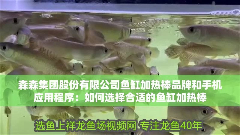 森森集團股份有限公司魚缸加熱棒品牌和手機應用程序：如何選擇合適的魚缸加熱棒 森森集團股份有限公司魚缸加熱棒品牌和手機應用程序：如何選擇合適的魚缸加熱棒 魚缸百科