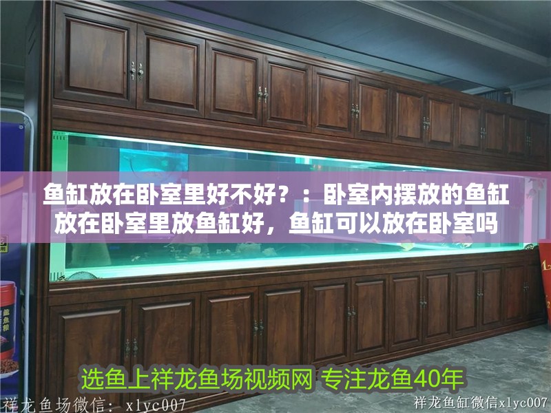 魚缸放在臥室里好不好？：臥室內(nèi)擺放的魚缸放在臥室里放魚缸好，魚缸可以放在臥室嗎