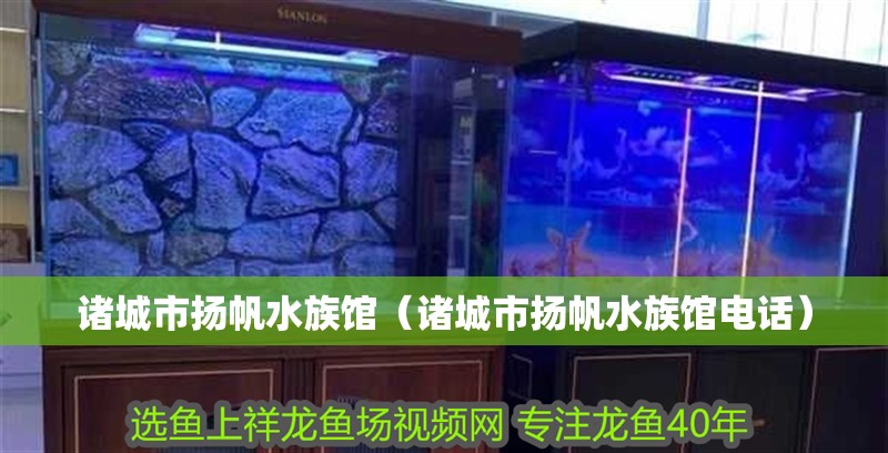 諸城市揚帆水族館（諸城市揚帆水族館電話）