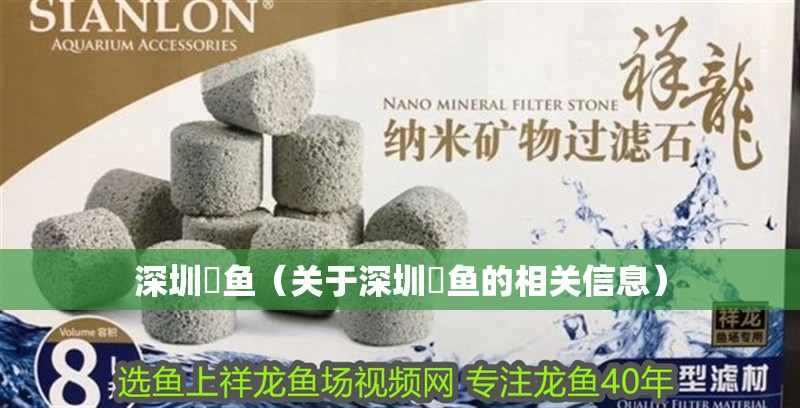 深圳魟魚（關于深圳魟魚的相關信息）