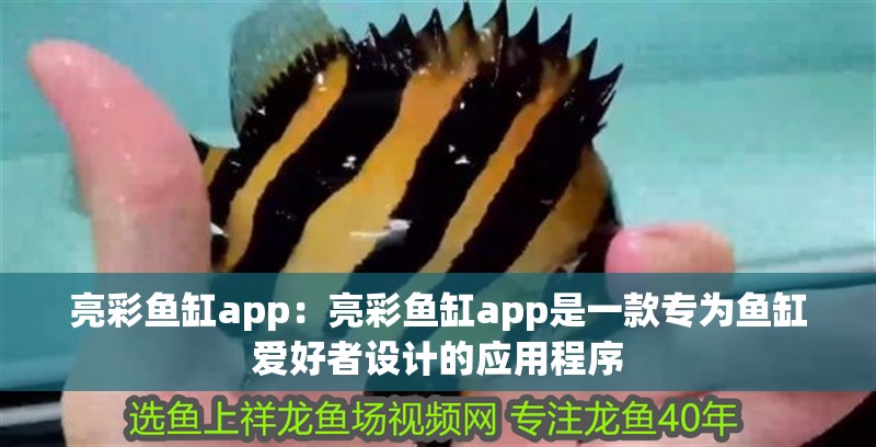 亮彩魚缸app：亮彩魚缸app是一款專為魚缸愛好者設計的應用程序