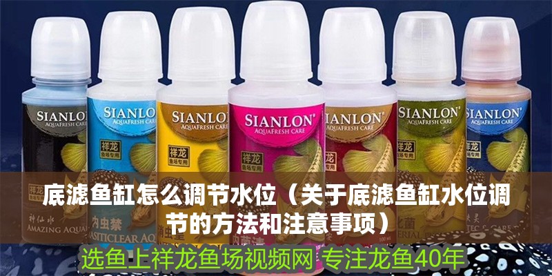 底濾魚(yú)缸怎么調(diào)節(jié)水位（關(guān)于底濾魚(yú)缸水位調(diào)節(jié)的方法和注意事項(xiàng)） 底濾魚(yú)缸怎么調(diào)節(jié)水位（關(guān)于底濾魚(yú)缸水位調(diào)節(jié)的方法和注意事項(xiàng)） 魚(yú)缸百科