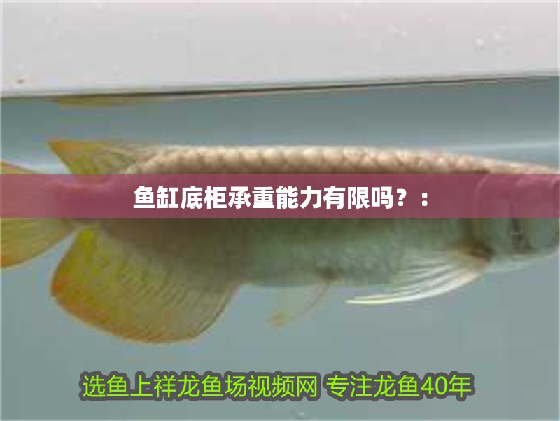魚缸底柜承重能力有限嗎？：