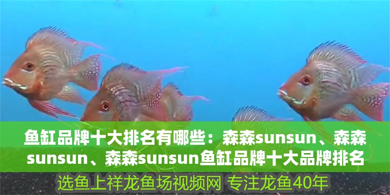 魚缸品牌十大排名有哪些：森森sunsun、森森sunsun、森森sunsun魚缸品牌十大品牌排名