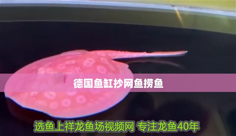 德國魚缸抄網魚撈魚