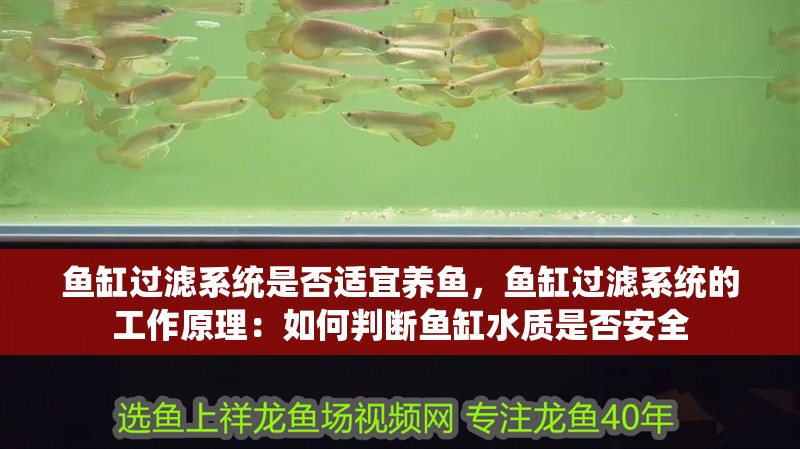 魚(yú)缸過(guò)濾系統(tǒng)是否適宜養(yǎng)魚(yú)，魚(yú)缸過(guò)濾系統(tǒng)的工作原理：如何判斷魚(yú)缸水質(zhì)是否安全