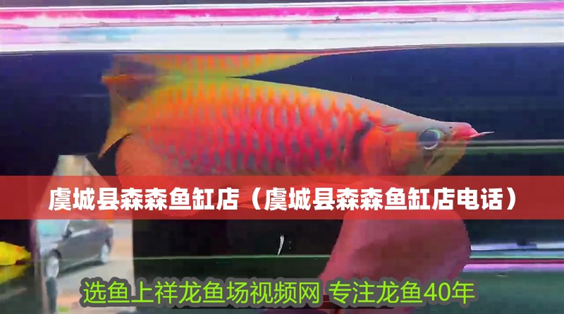虞城縣森森魚缸店（虞城縣森森魚缸店電話）