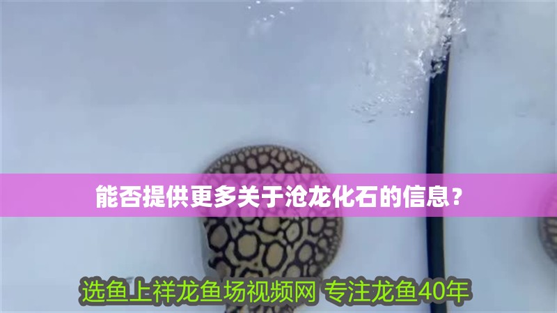 能否提供更多關(guān)于滄龍化石的信息？