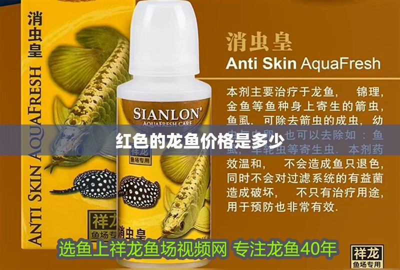 紅色的龍魚價格是多少