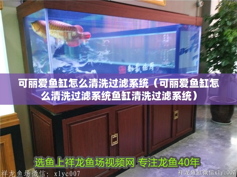 可麗愛魚缸怎么清洗過濾系統（可麗愛魚缸怎么清洗過濾系統魚缸清洗過濾系統）