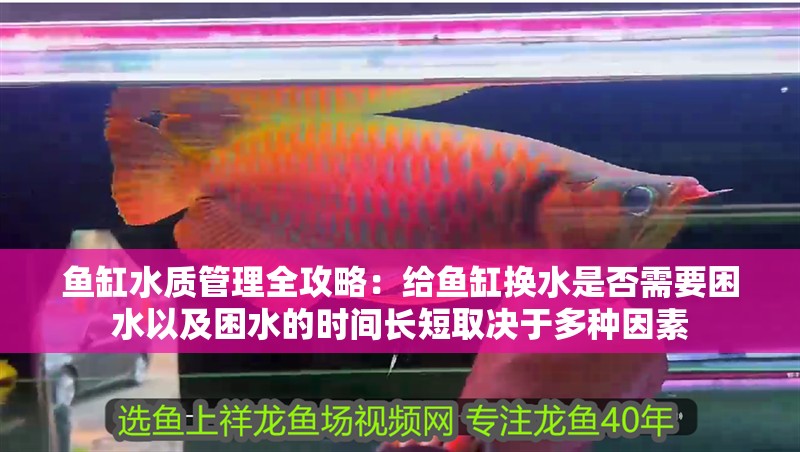 魚缸水質管理全攻略：給魚缸換水是否需要困水以及困水的時間長短取決于多種因素