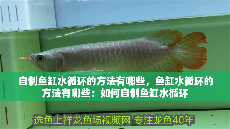 自制魚缸水循環的方法有哪些，魚缸水循環的方法有哪些：如何自制魚缸水循環 自制魚缸水循環的方法有哪些，魚缸水循環的方法有哪些：如何自制魚缸水循環 魚缸百科