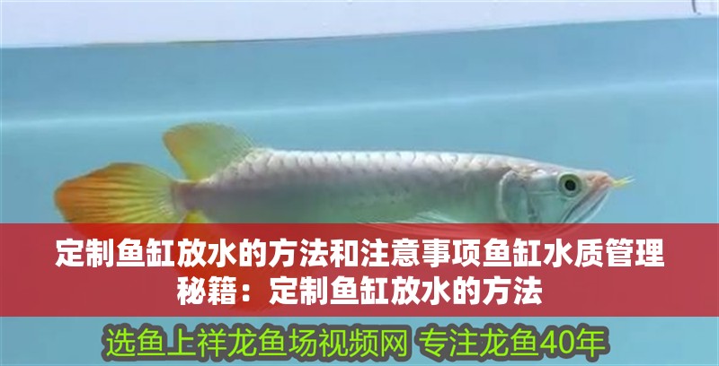 定制魚缸放水的方法和注意事項魚缸水質管理秘籍：定制魚缸放水的方法