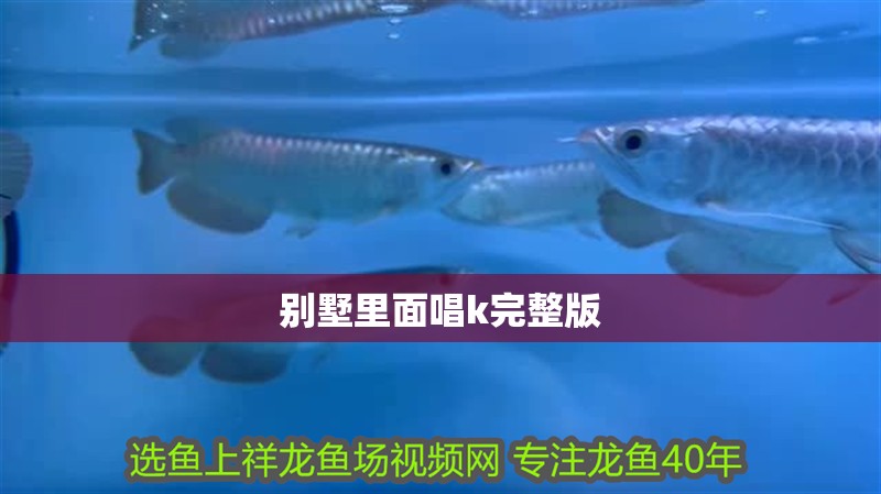 別墅里面唱k完整版