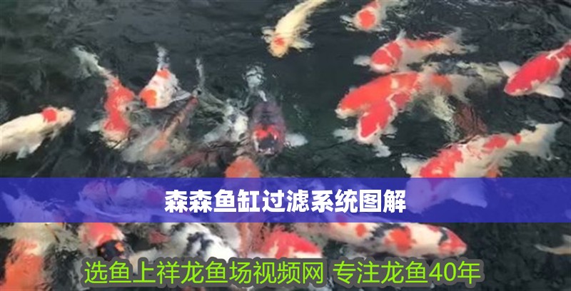 森森魚缸過濾系統圖解