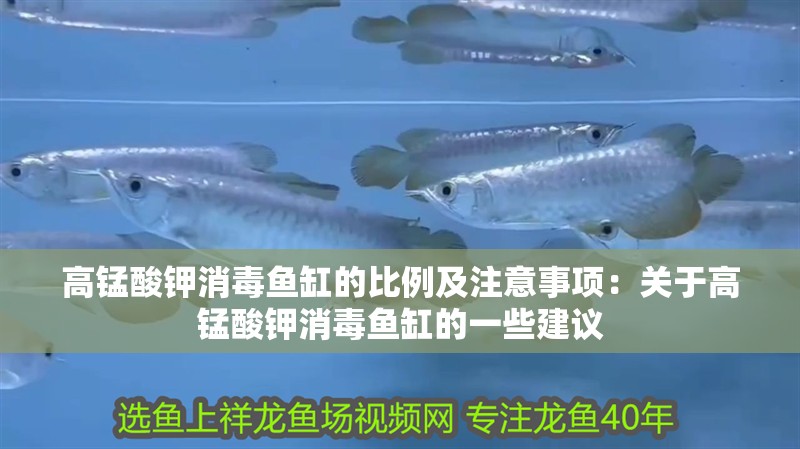 高錳酸鉀消毒魚缸的比例及注意事項：關于高錳酸鉀消毒魚缸的一些建議