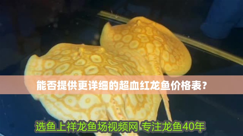 能否提供更詳細的超血紅龍魚價格表？