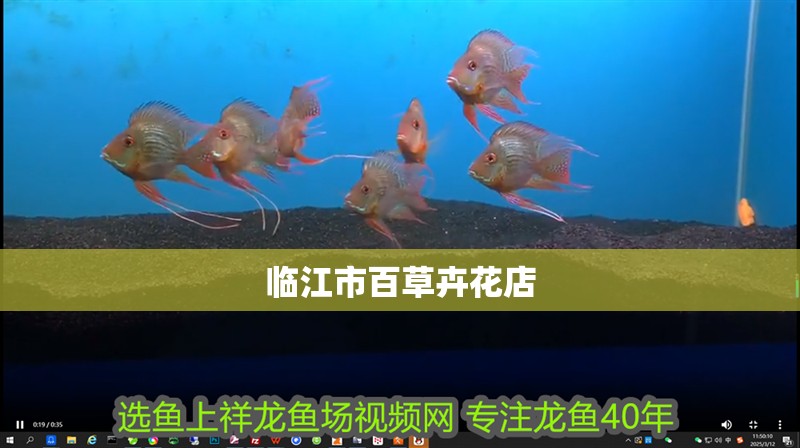 臨江市百草卉花店