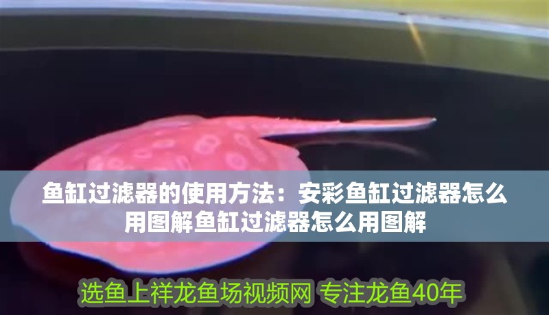 魚缸過濾器的使用方法：安彩魚缸過濾器怎么用圖解魚缸過濾器怎么用圖解