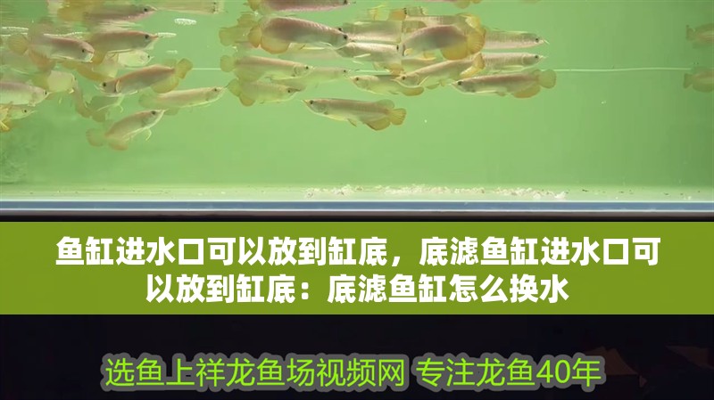 魚缸進水口可以放到缸底，底濾魚缸進水口可以放到缸底：底濾魚缸怎么換水 魚缸進水口可以放到缸底，底濾魚缸進水口可以放到缸底：底濾魚缸怎么換水 魚缸百科